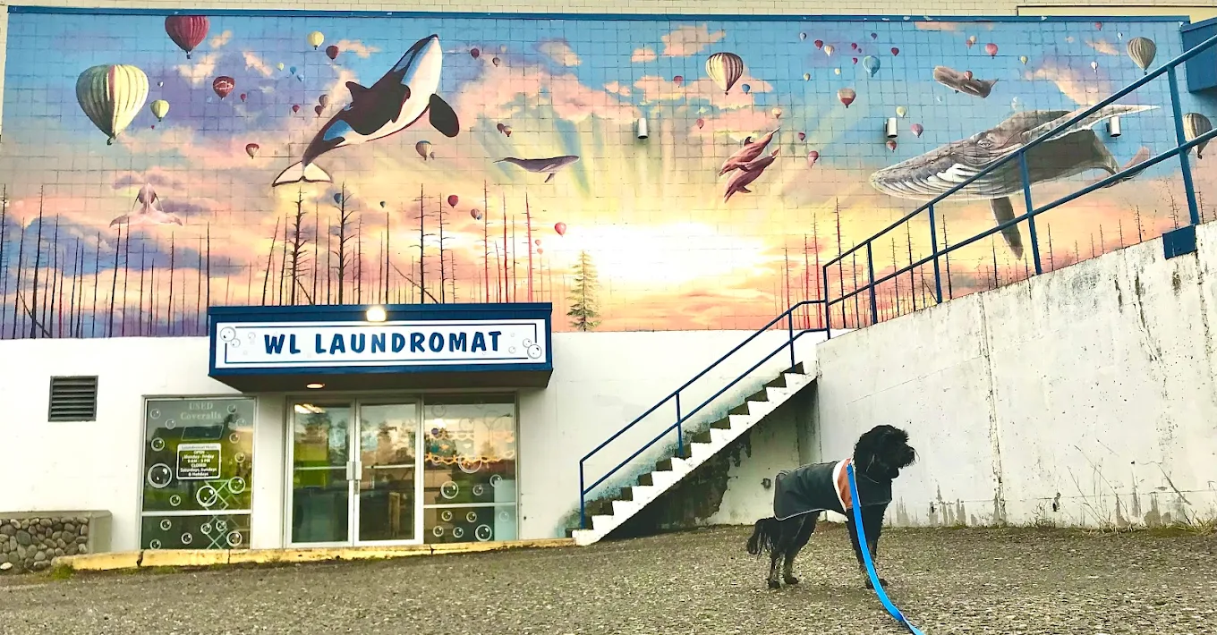 WL Drycleaners & Laundromat